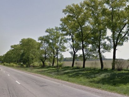 Земля, участок 60 га в с.Белогородка Білогородка