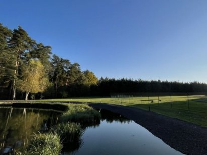 11 сот. серед сосен. Під будівництво. Білогородка/Бобриця Білогородка