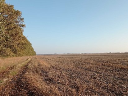 Земельна ділянка