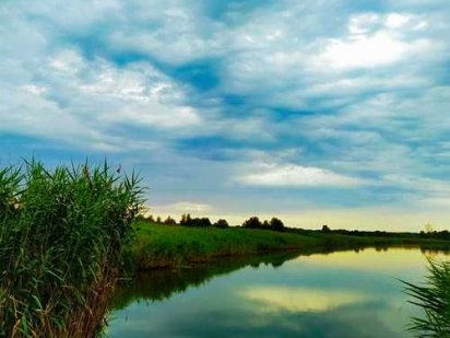 Козин продажа элитных участков земли  5 га ОСГ