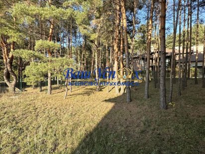 Продажа земли в лесу  в районе Конча-Заспа. Козин село в городке.