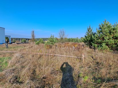 Краща ціна! за ділянку біля соснового лісу. Білогородка,Бобриця