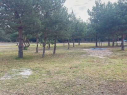 Ділянка під будівництво поряд з лісом. Білогородка/Бобриця