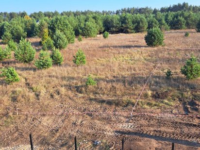 Купуйте землю  і сосни отримайте бонусом