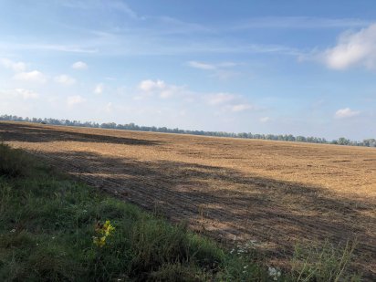 Земельна ділянка  2 га  Гнідин