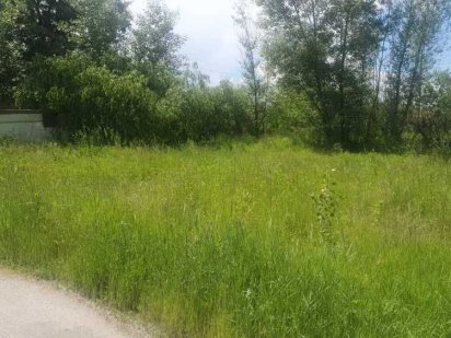 Продам два участка по 12 соток Осокорки, шлюз №1, С/Т "Старз"