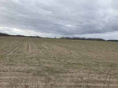 Земля , участок 2,5 га Белогородка Білогородка