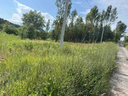 Продається ділянка в с. Гореничи вул. Сологуба 12,5 сот