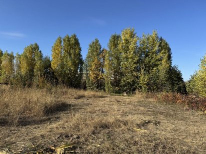 Ділянка 8 соток  Чабани/Новосілки/Теремки Чабаны