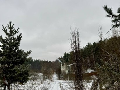 Ділянка під забудову с.Гореничі вул.Сологуба ліс на ділянці.