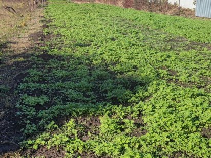 Земельна ділянка в Чабанах 7 соток Чабаны