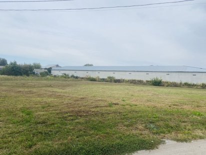 Чабани, вул. Польова 33 сотки, 8500$\сотка Чабаны