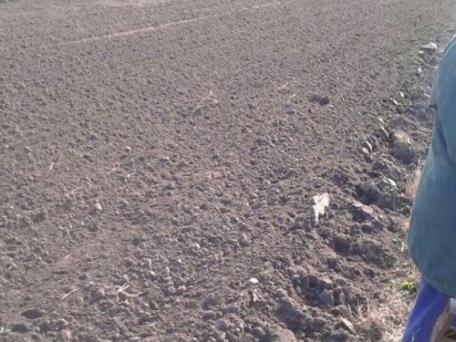 Продам участкі під забудову. Вишеньки