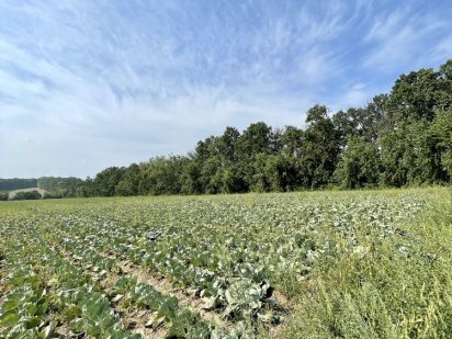 Продаж Ділянки Зручне Місце Вигідна Ціна Гореничі Гореничи