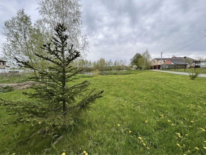 50 соток Джерельна. Озеро, електрика, затишна місцевість Білогородка