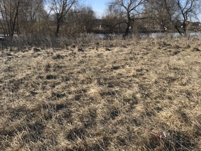 Продам земельный участок , Белогородка ( Шевченково). 25000