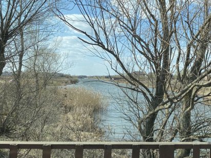 Продам Земельный участок Вишенки 15 соток Вишеньки