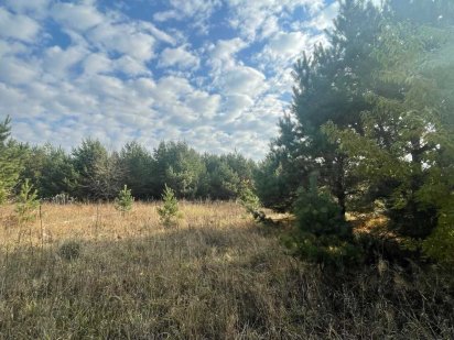 З соснами   $13 500. БобрицяБілогородкаКиівСофіївськаБорщагівка