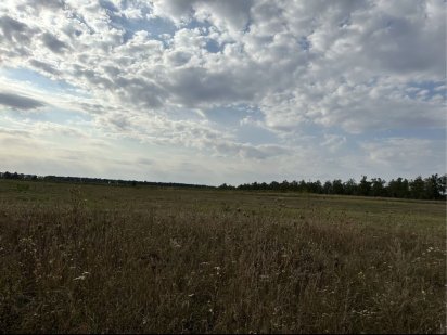 Земля , участок ,Белогородка 4 га ( 1,2;|1,3;|1,4;|га) Білогородка