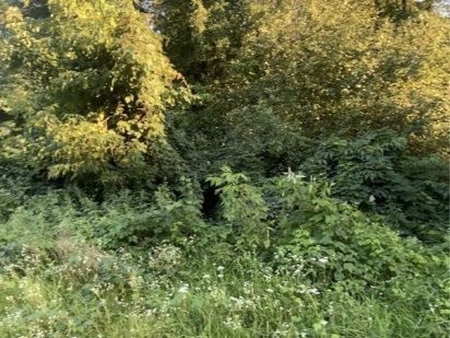 Земельна ділянка, 25 соток, Гореничі, з виходом у ліс Гореничи