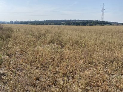 Продається земельна ділянка комерційного призначення Гореничі 1га