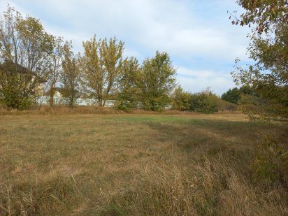 Земельна ділянка під будівництво в с. Вишеньки. Участок. Вишеньки