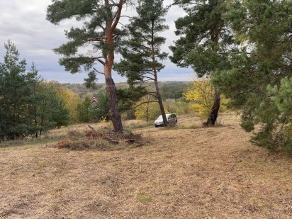 Три ділянки поруч з видом на ліс. Або одна велика. Елітна частина села