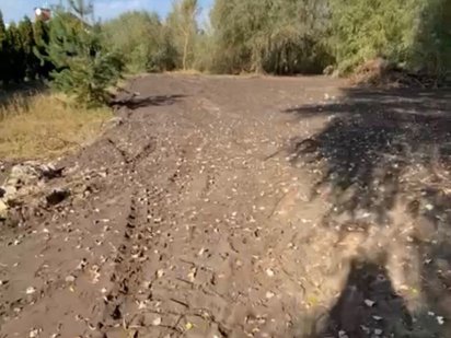 24 сотки Ділянка на березі  Дніпра  з виходом на велику воду Вишеньки