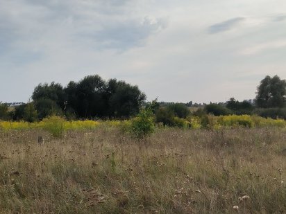 Продаю земельну ділянку