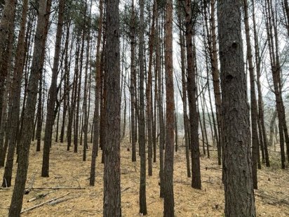 Продам земелюну ділянку на київському водосховищі !