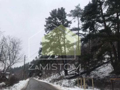 ‼️‼️Продам‼️‼️‼️ №488.Продаж ділянки 30 соток біля лісу в селі Гнідин.