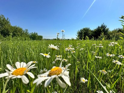 Земля в новому мікрорайоні під будівництво будинку