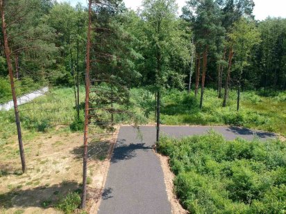 Продам Ділянку 54 сотки з Електрикою  в Лісовій Частині с.Гореничі