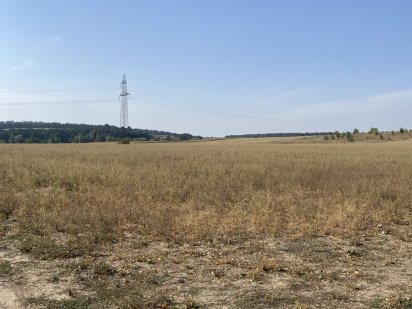 Продається земельна ділянка комерційного призначення Гореничі 2,5га