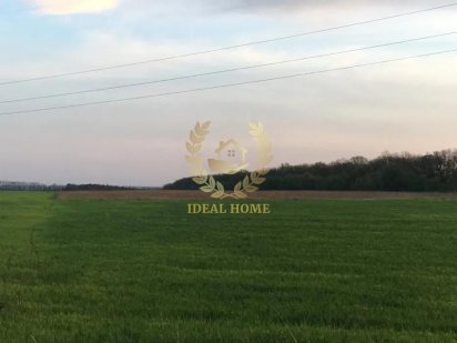 Продам земельні ділянки ОСГ в с.Гореничи