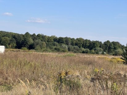 Продам 19 соток в Вишеньки Вишенки  біля лісу