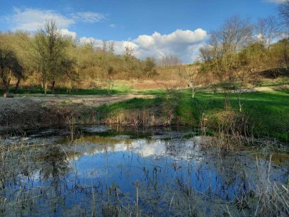 Лісники. Ділянка 100 соток. Лісники