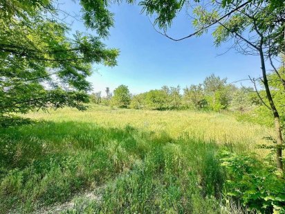 Земельної ділянки Голосіївський р-н вул.Португальська 55, 11 сотки