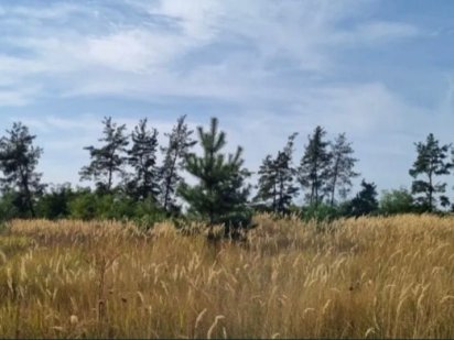 Продаж землі Лісники