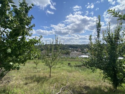 Лісники 25 соток 85000$