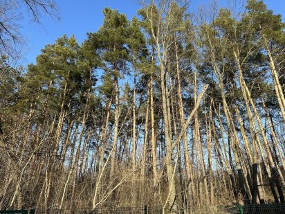 Ділянки Ходосівка, Лісники, Конча-Заспа, Козин Голосіівськ