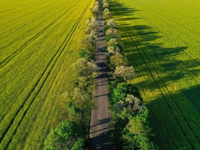 Унікальна земельна ділянка від 77 до  144 сотки біля НП "Межигір'я"