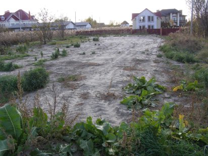 10 соток в Нових Петрівцях Нові Петрівці