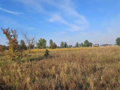 Ділянка 25 соток ОСГ Нові Петрівці, масив Молодіжний, Музей