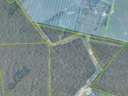 Продам участок 15 гектаров ,приватизированы . в с. Новые Петровцы.