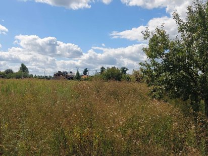Продаж земельної ділянки Нові Петрівці.