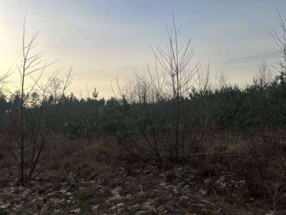 Торг можливий! Продаж ділянки 15 соток під забудову село Сухолуччя Новые Петровцы