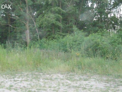 Продам участок в с. Вита Почтовая 100соток розділені по 20 соток