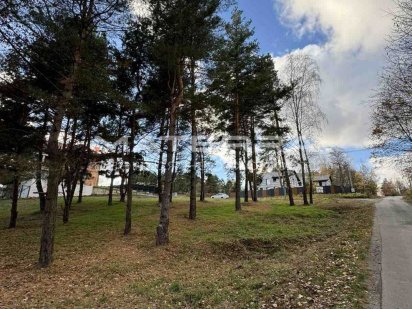 Віта-Поштова Продаж кутової ділянки 16 соток біля лісу (масив Глейки)