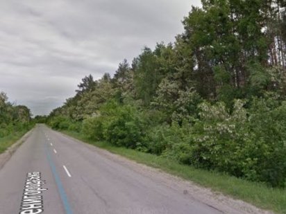 Віта Поштова.  Ділянка  з соснами,  46 соток.